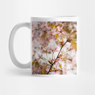 Cherry Blossom Mug